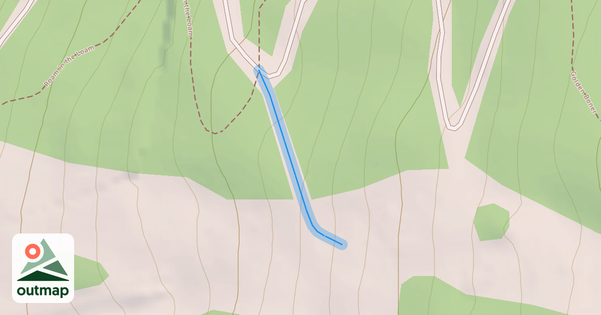 Map of Blackcomb Home Run