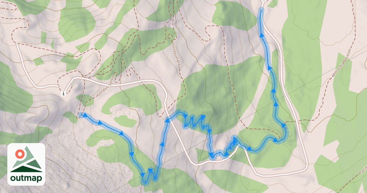 Map of Lichen It