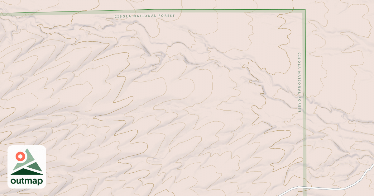Map of USFS National Forest System Roads {5076A7CC-0DB4-44A4-80F9-BE0102BA7B8A}