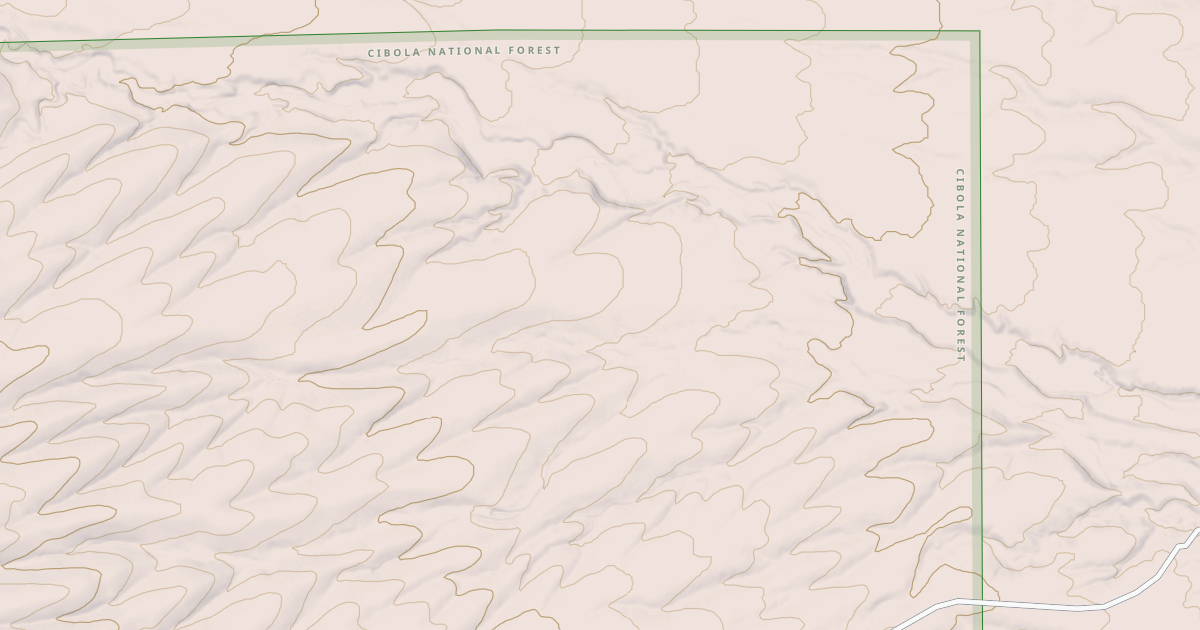 Map preview of USFS National Forest System Roads {5076A7CC-0DB4-44A4-80F9-BE0102BA7B8A}