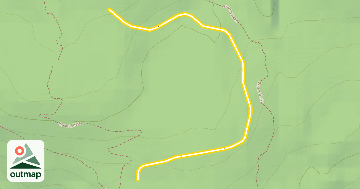 Map of Beetle Wood