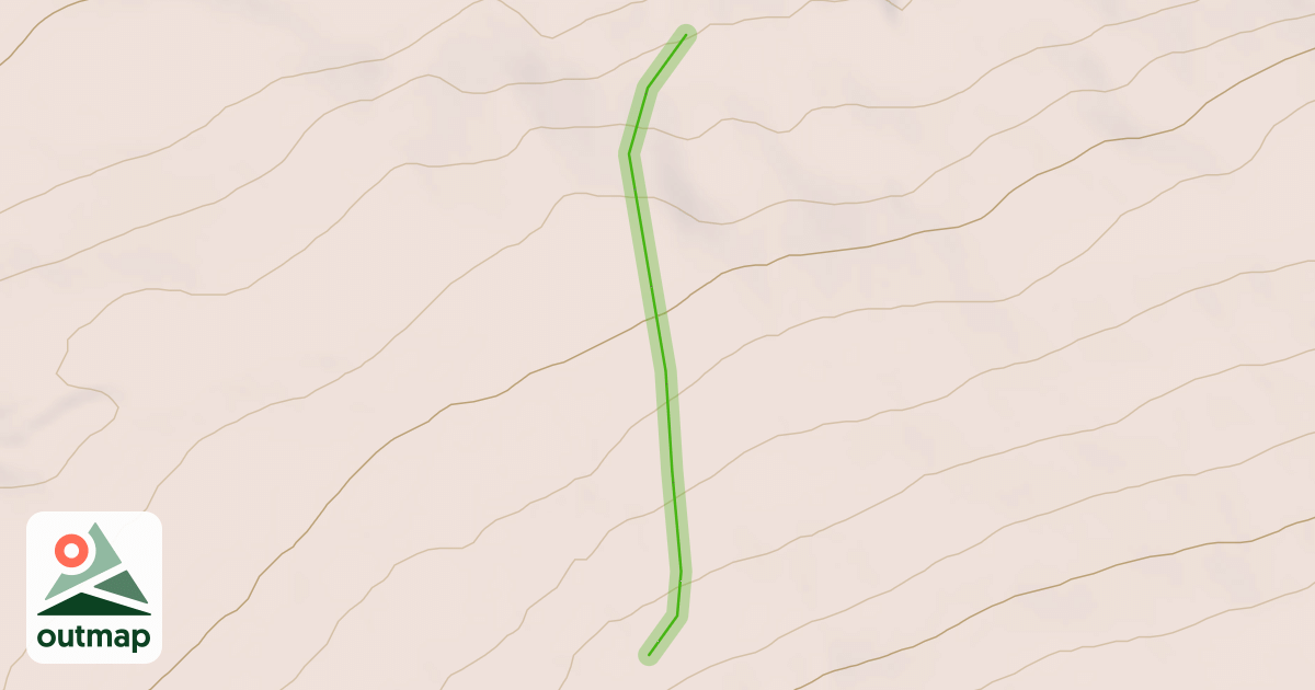 Map of Betty's Buzz