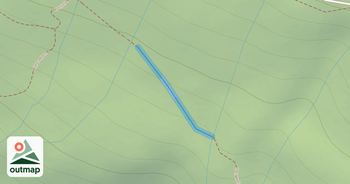Map of Half Nelson