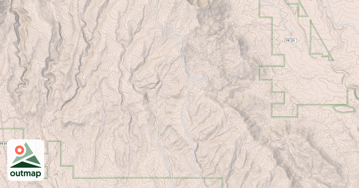 Map of USFS National Forest System Roads {9EF74C68-55FB-49DF-8C90-F1E2BDE5997A}