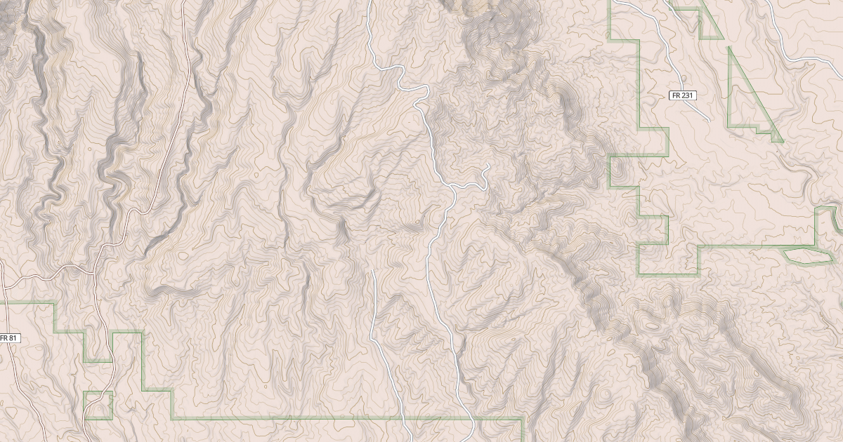 Map preview of USFS National Forest System Roads {9EF74C68-55FB-49DF-8C90-F1E2BDE5997A}