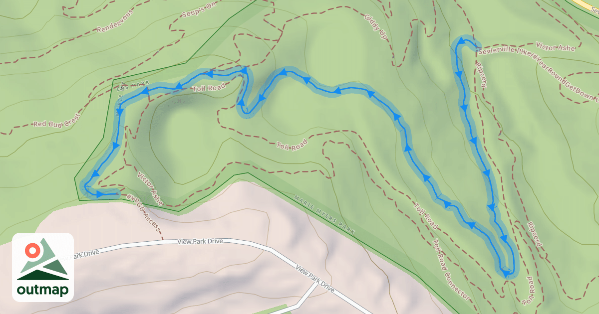 Map of Party In The Woods