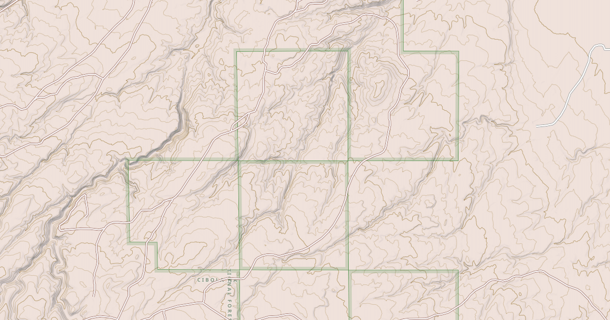 Map preview of USFS Motor Vehicle Use Map Roads {4F6ABCB4-E8B5-46A3-ADD8-9EA36F1008CF}