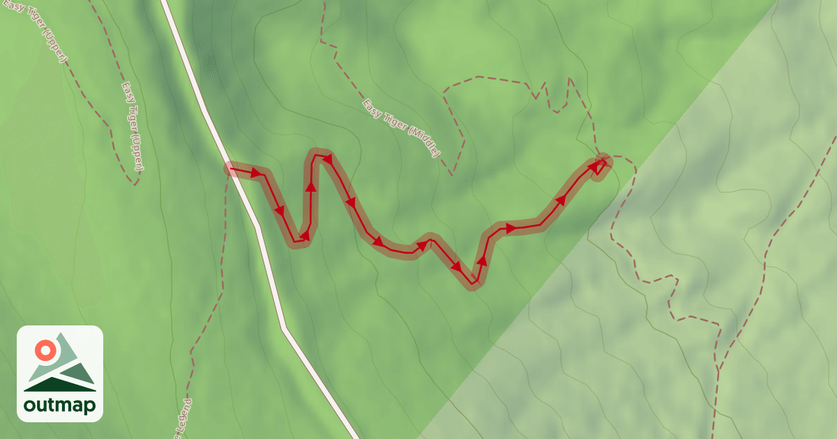 Map of MegaFauna