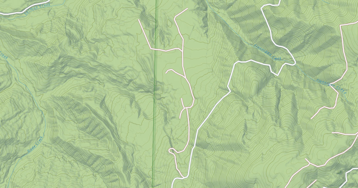 Map preview of LOWER FLANNIGAN