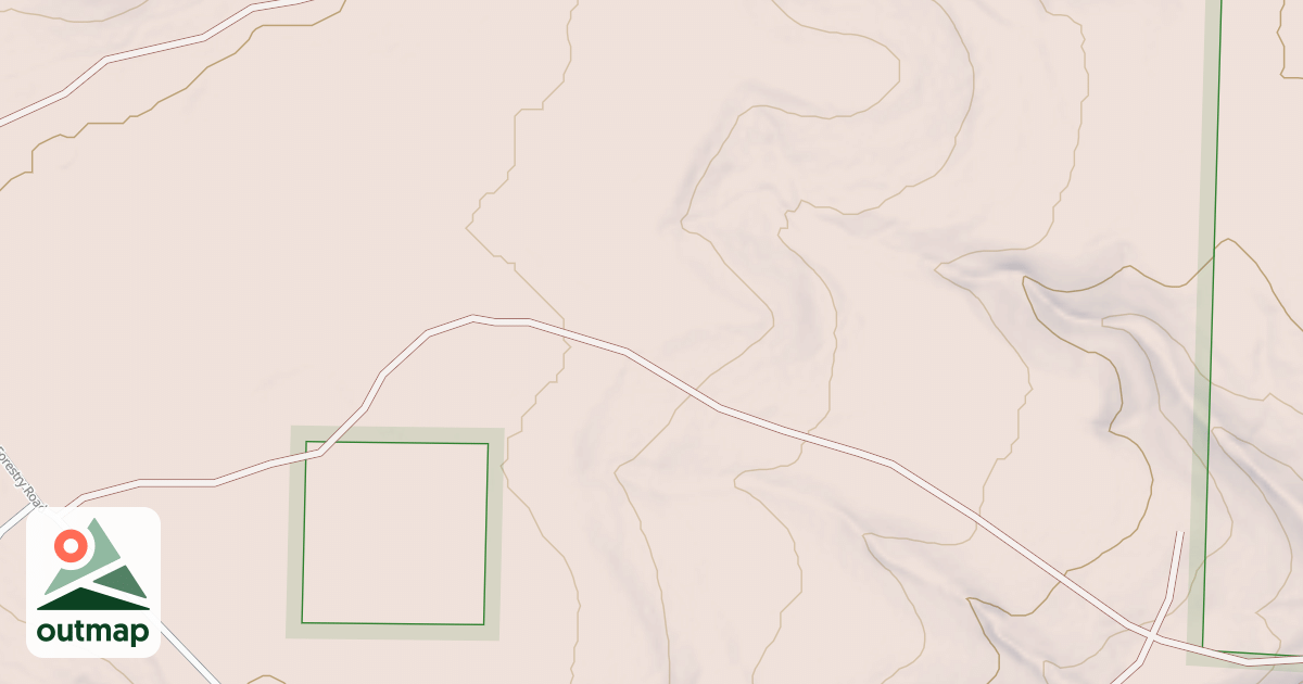 Map of USFS Motor Vehicle Use Map Roads {D14C0556-B4D8-4493-865B-9AB119C56627}