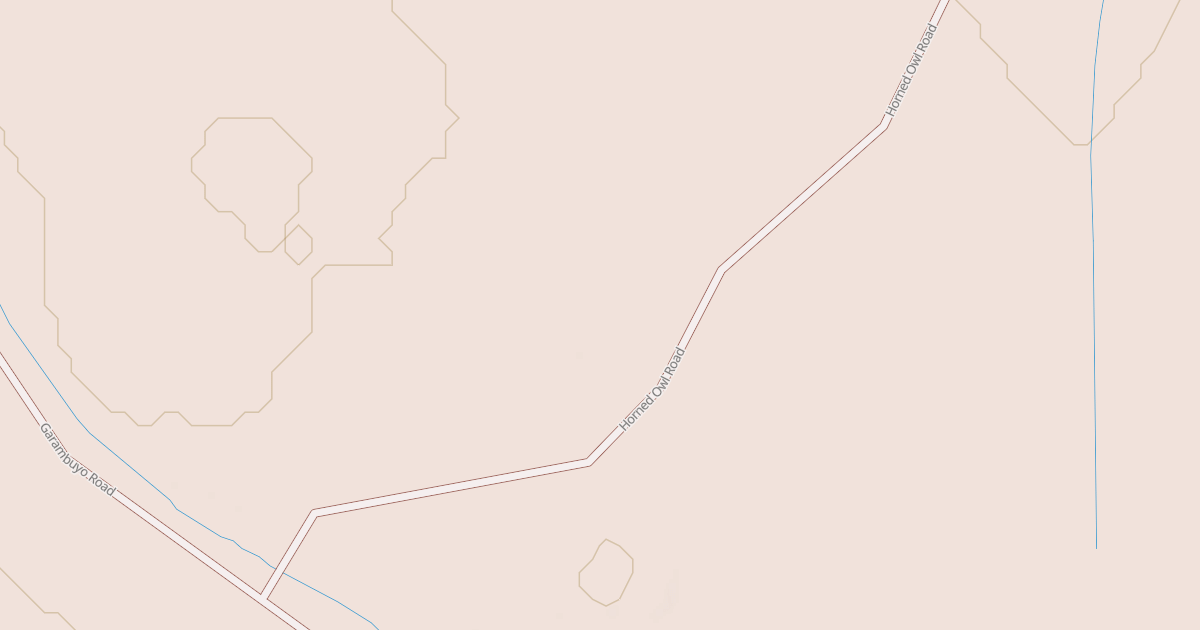 Map preview of BLM National GTLF Public Motorized Roads ee5ff813-c701-430d-b375-add31c59a348