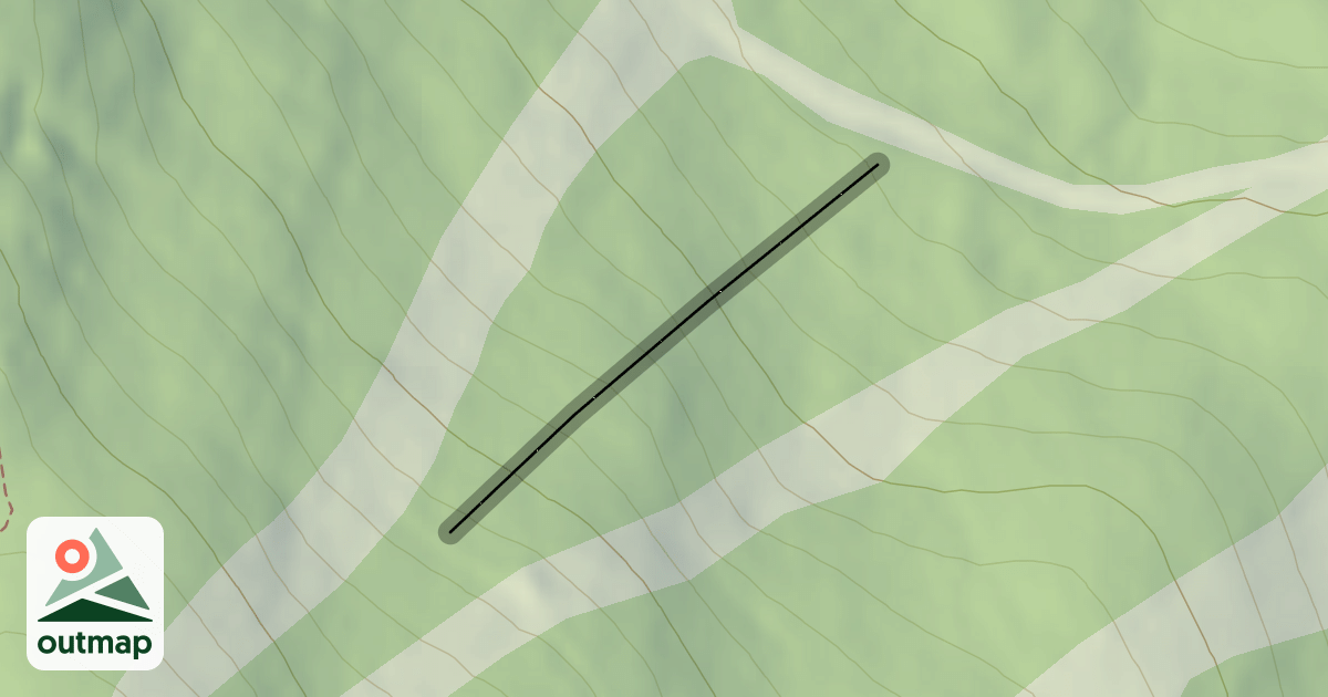 Map of Bravinator Woods