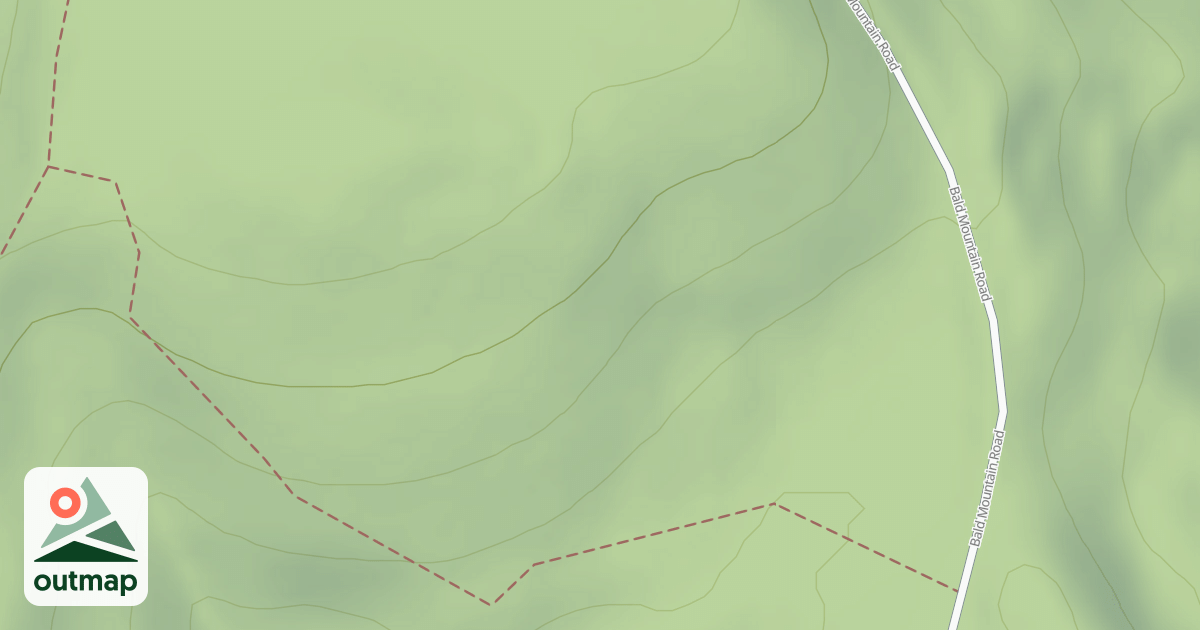 Map of Mutant Ferns