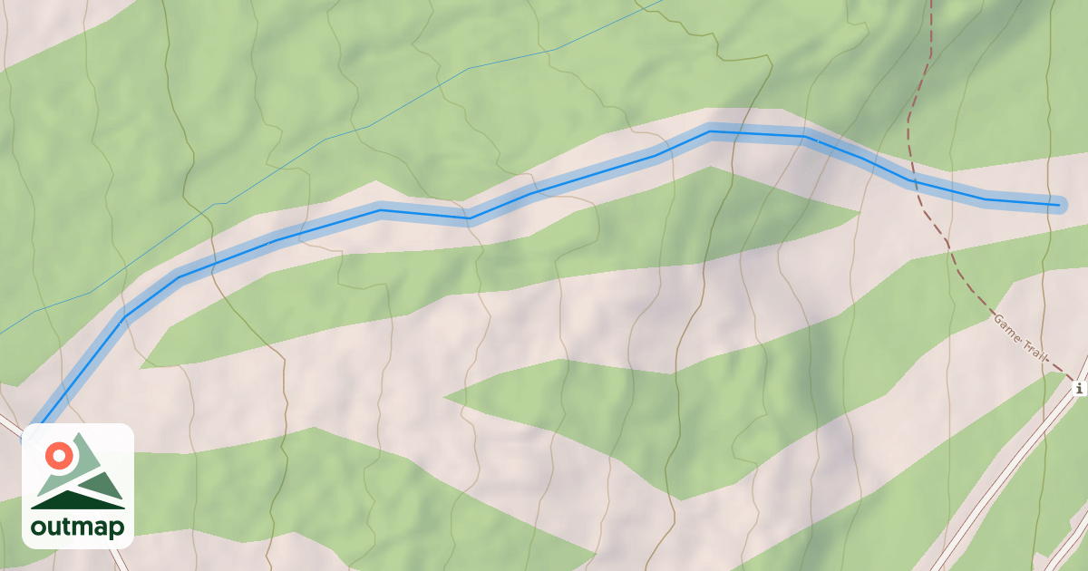 Map of Swan City