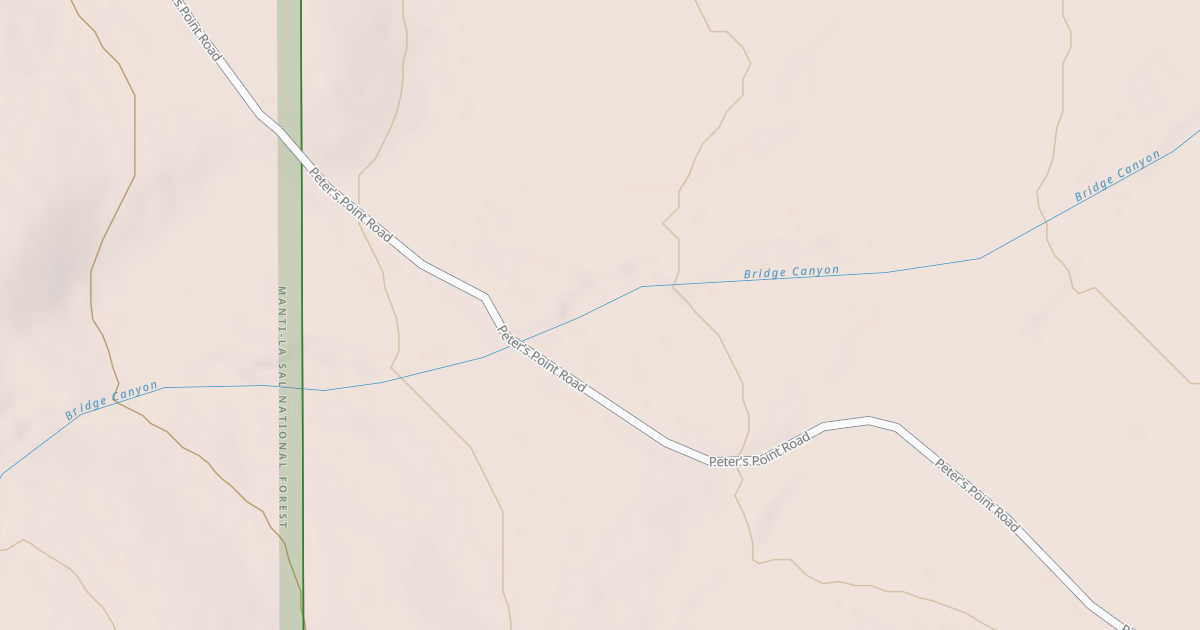 Map preview of BLM National GTLF Public Motorized Roads 103222ad-028f-4896-9289-af2471652a53