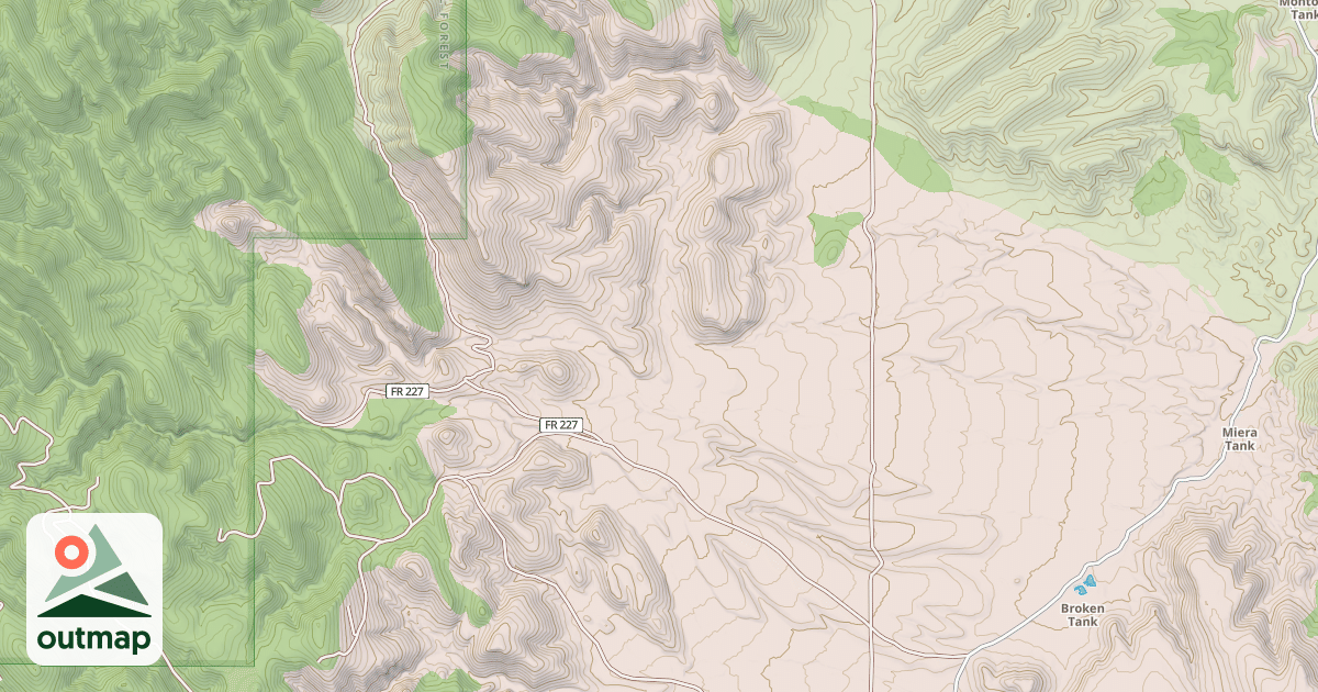 Map of USFS National Forest System Roads {3DD07021-22EB-422C-AAA1-94115221D6BF}