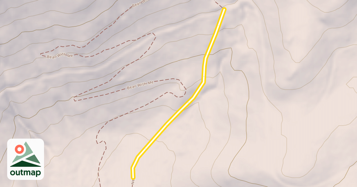 Map of Nexus