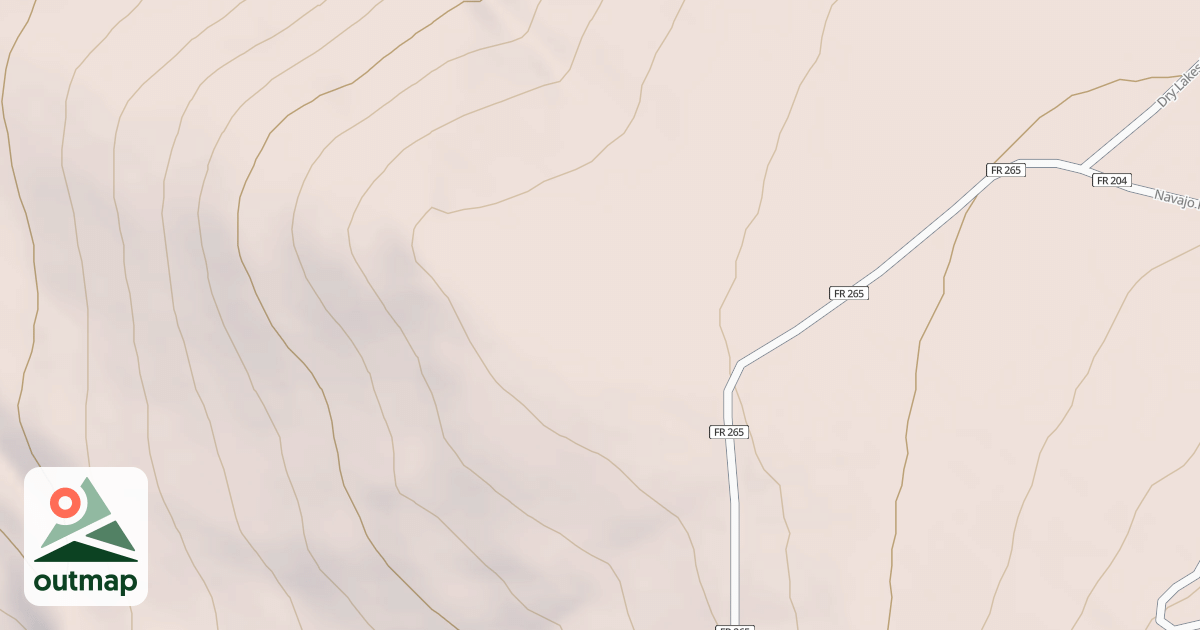 Map of USFS National Forest System Roads {EB26CD7E-898D-46A9-9322-94EAD5F1B410}