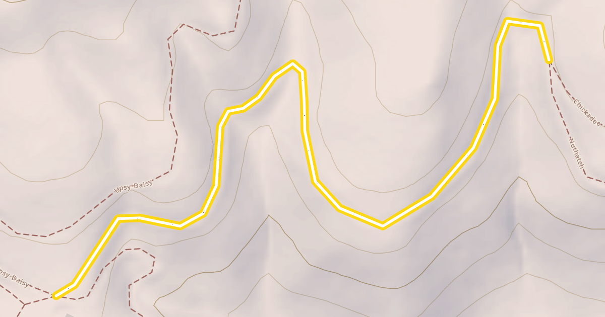Map preview of Nuthatch