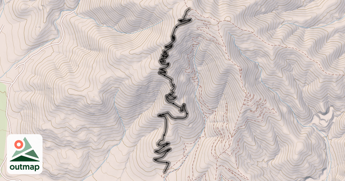 Map of T-Town Flow