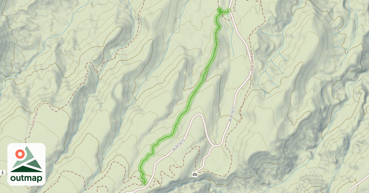 Map of Dead Bird