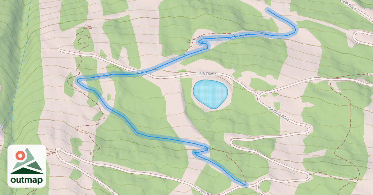 Map of Lion Down
