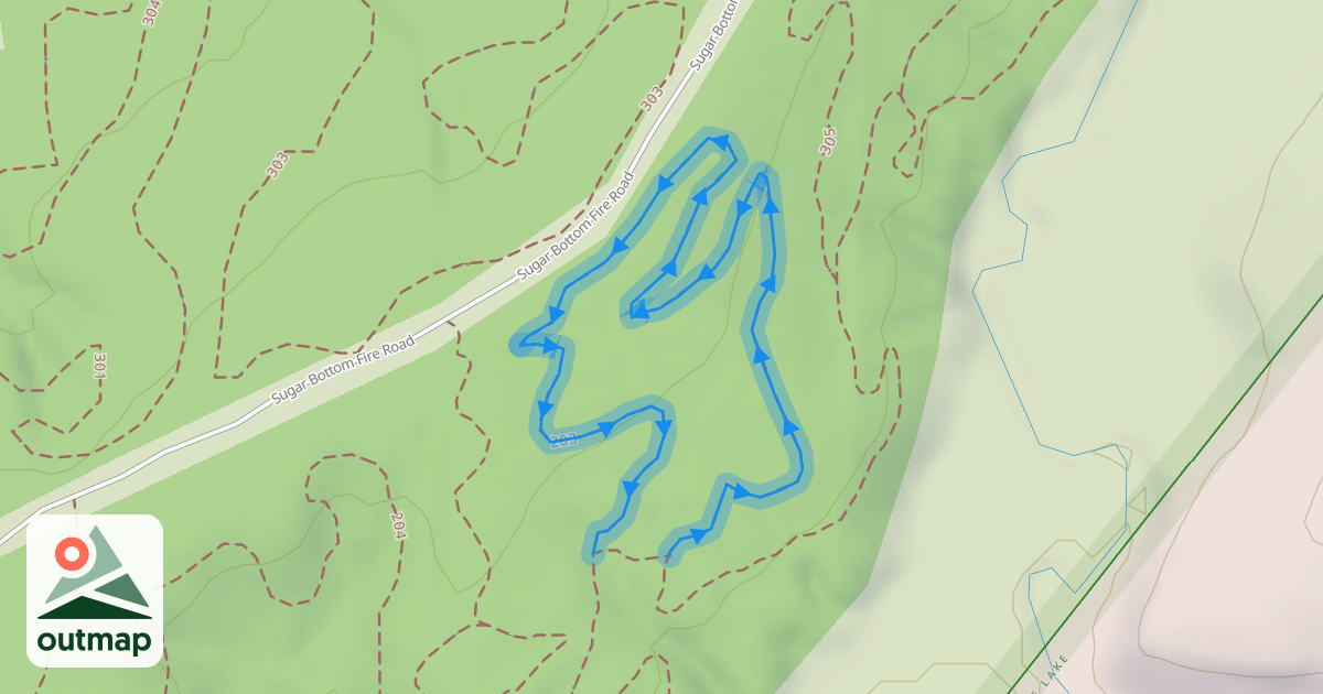 Map of 203
