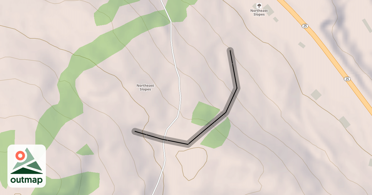 Map of The Face