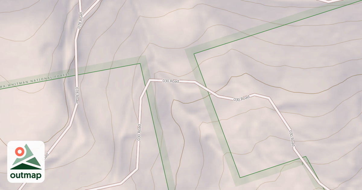 Map of USFS National Forest System Roads {51C654CD-544F-4573-8365-04D92DD9829C}