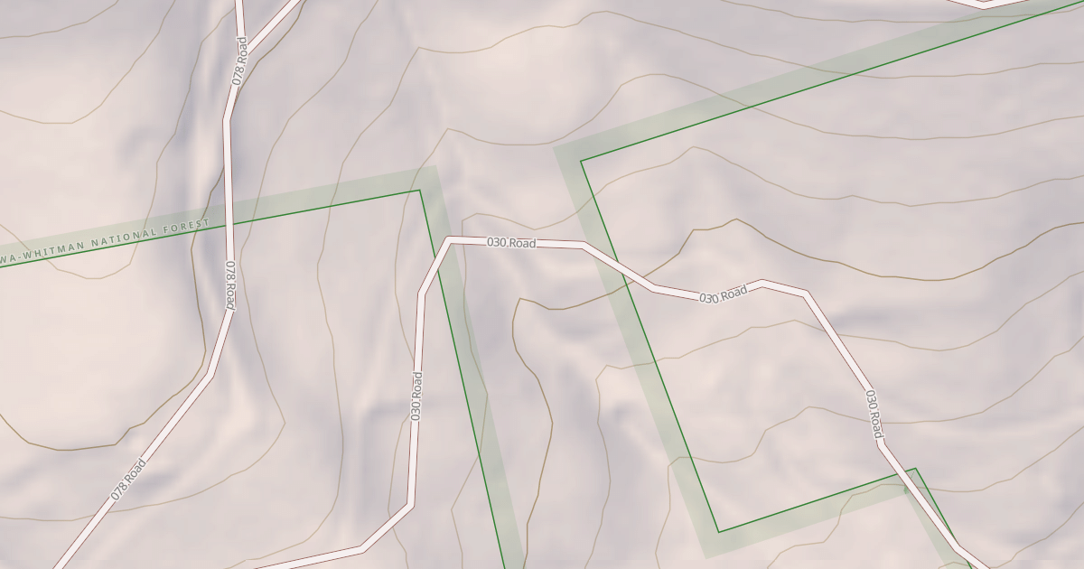 Map preview of USFS National Forest System Roads {51C654CD-544F-4573-8365-04D92DD9829C}