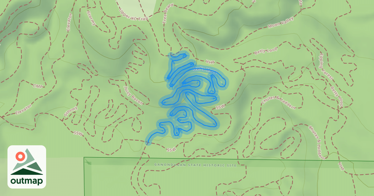 Map of Owl's Maze