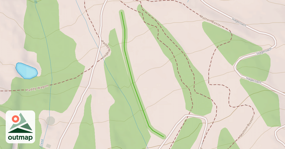 Map of Magic Forest