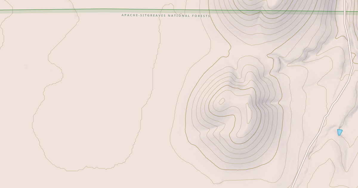 Map preview of USFS National Forest System Roads {782CEF9C-0AB0-4519-BC62-313B022F9ED6}