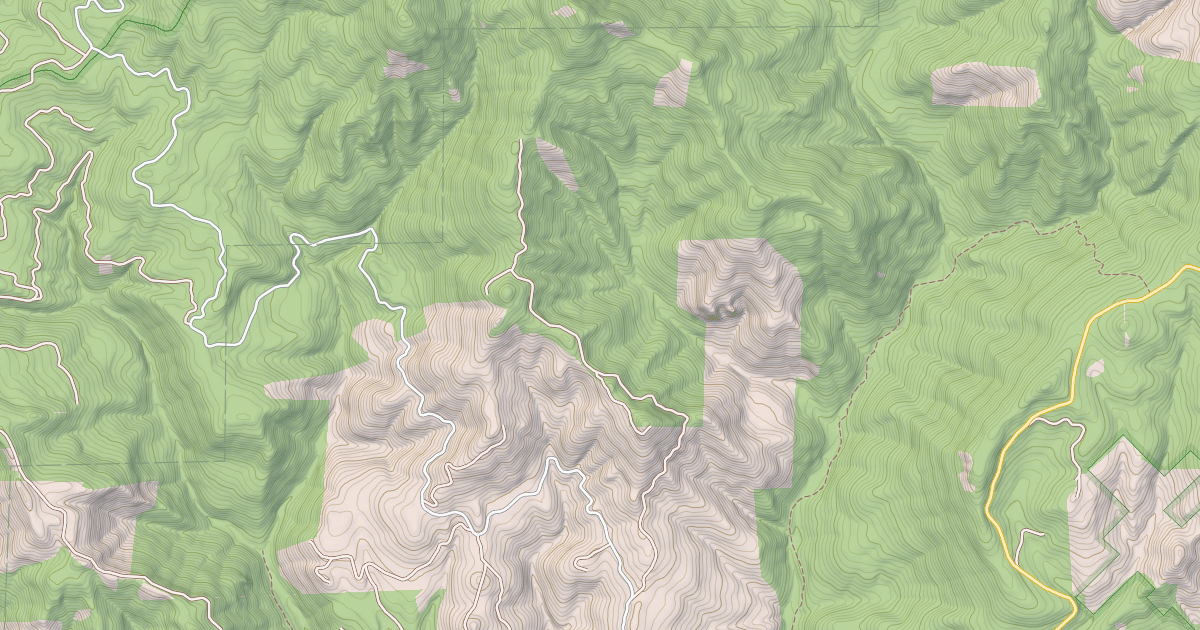 Map preview of USFS Motor Vehicle Use Map Roads {054225D2-1F46-42C7-B277-B3CBDCC2DBEF}