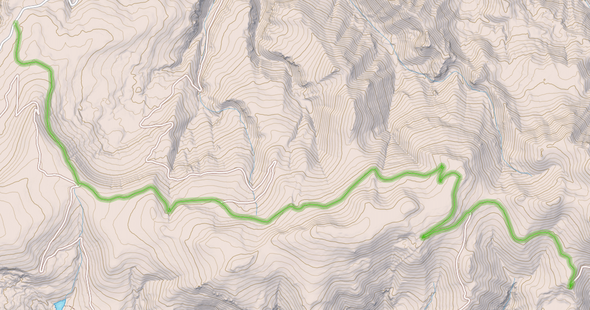 Map preview of Pine Tree Road