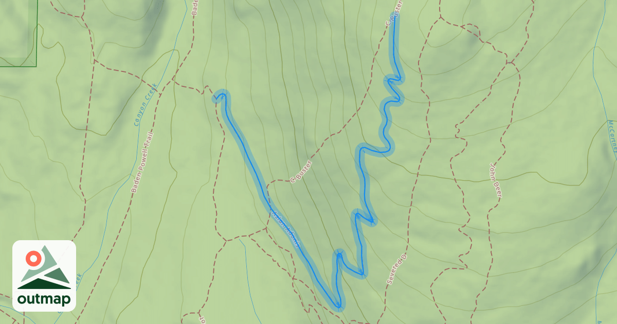 Map of Asian Adonis