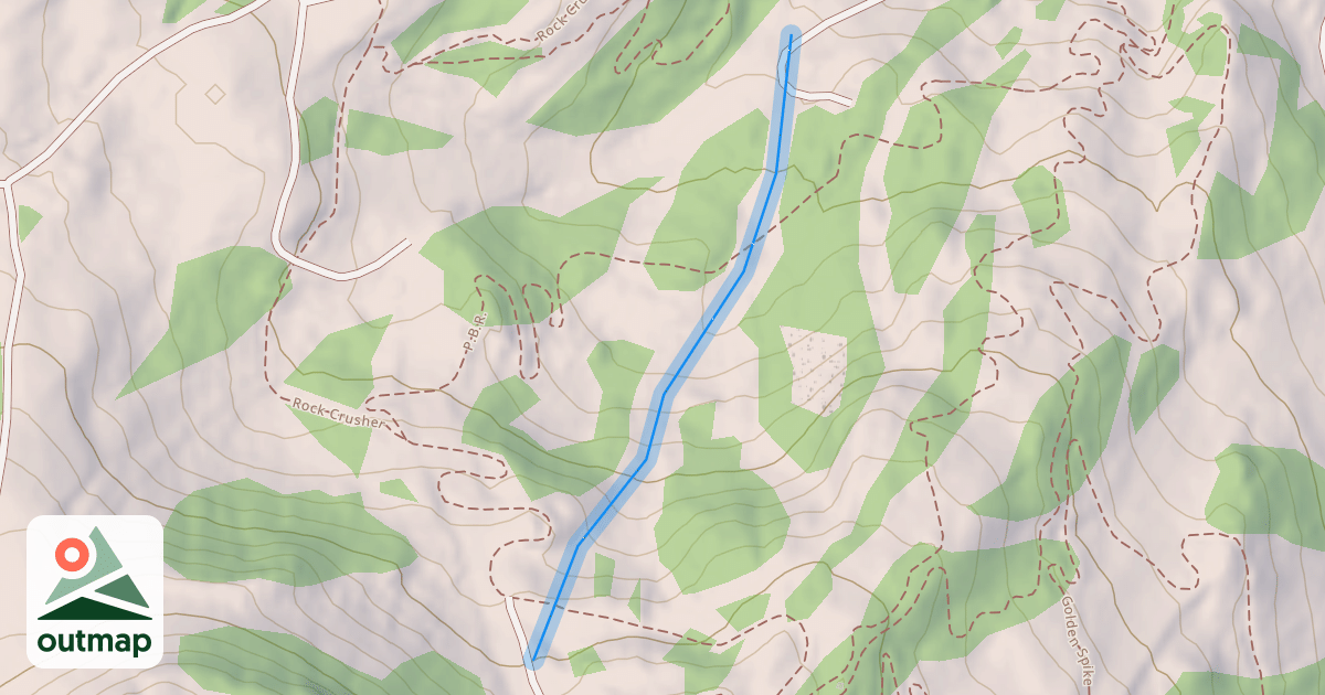 Map of International