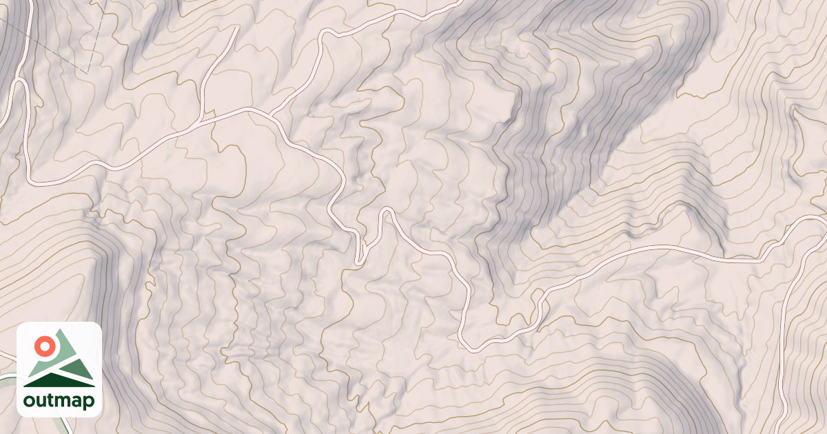 Map of NETTLE PATCH