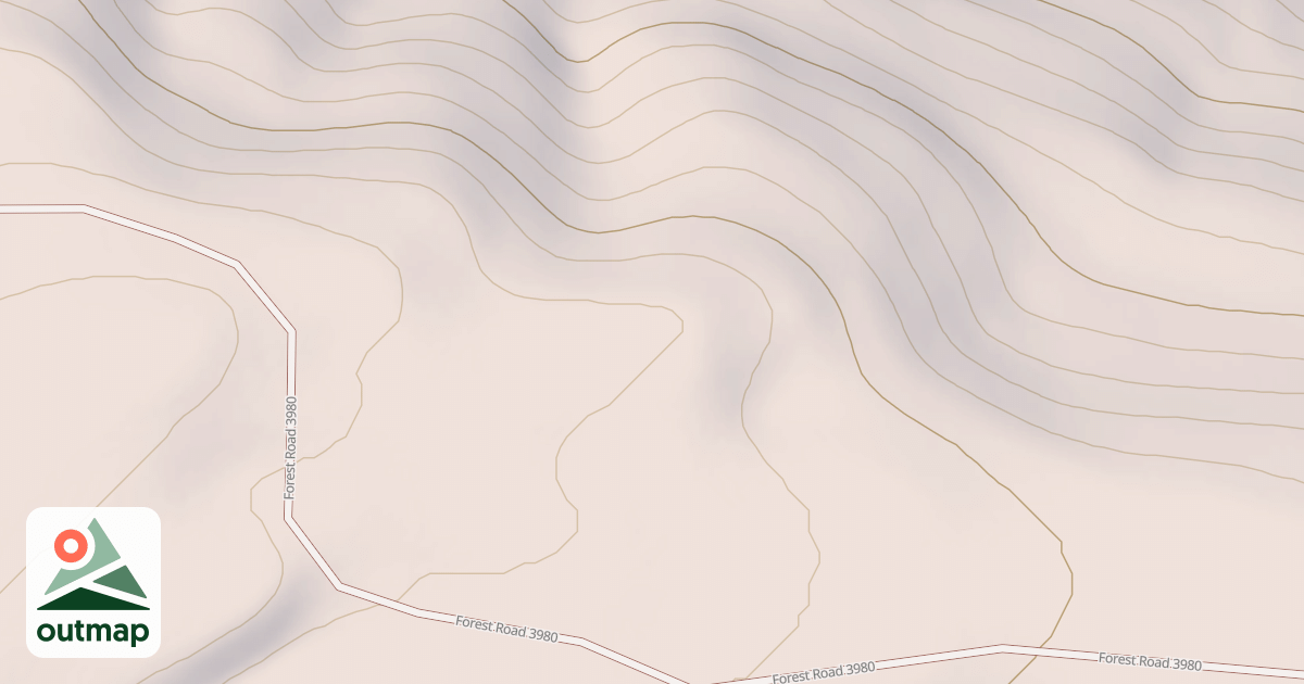 Map of USFS National Forest System Roads {05F83D9F-1E32-485E-A59D-EF58A30166C1}