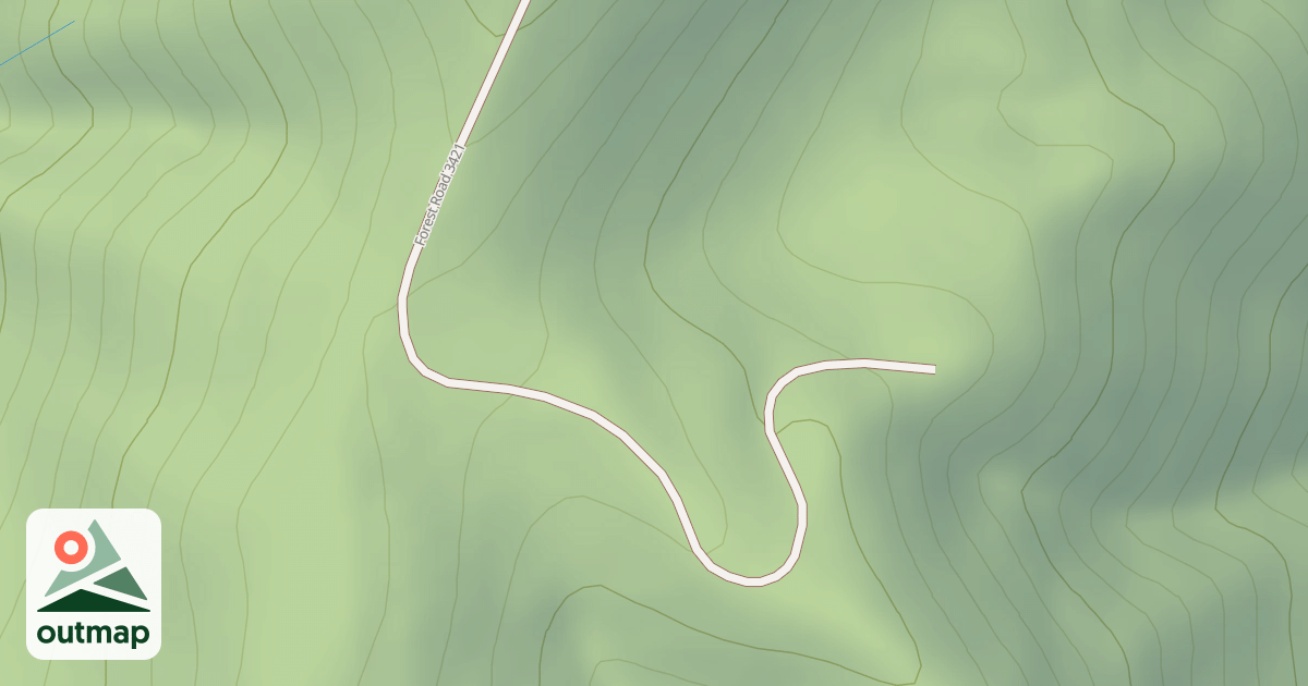 Map of USFS National Forest System Roads {26FD7C0A-9014-4B55-982F-9056BEA52CD7}