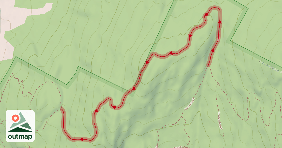 Map of Joe's