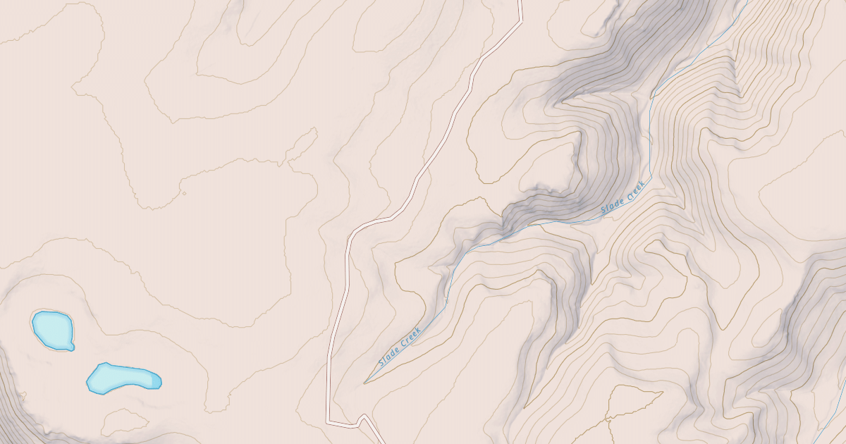 Map preview of BLM National GTLF Public Motorized Roads 919ea51b-91c2-4b95-94d5-ea2dcbd61762