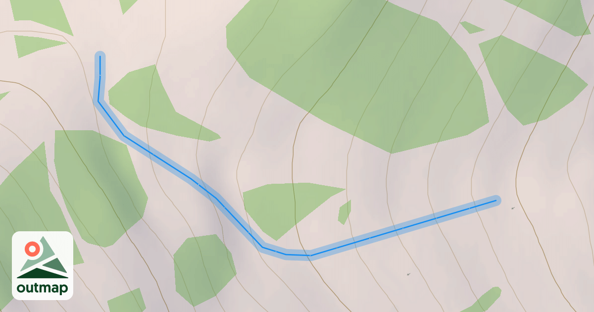 Map of Moose Lips