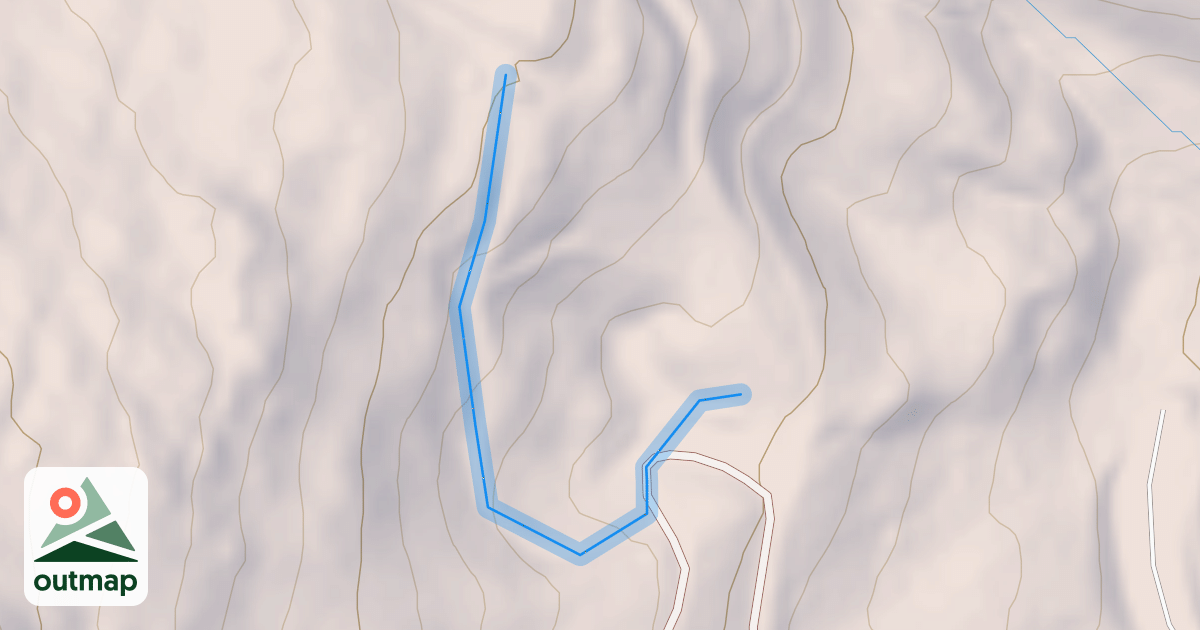 Map of Snow Shoe