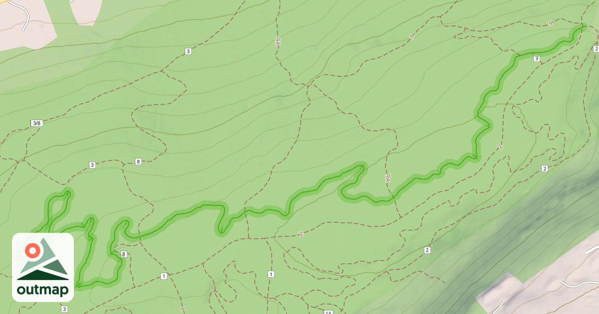 Map of Easy Peasy