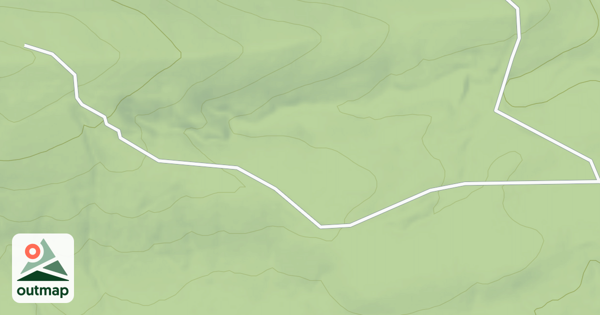 Map of USFS National Forest System Roads {41AC8A20-2E23-4926-98E4-FBC7520FCA16}