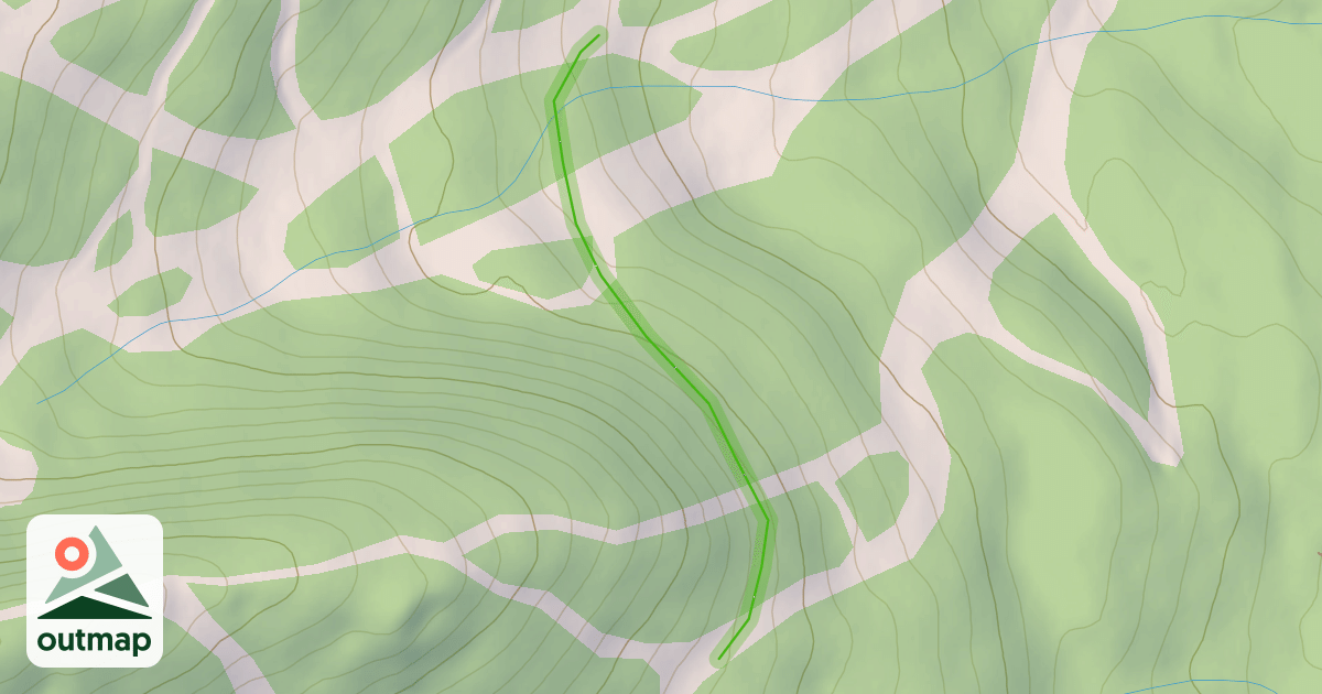 Map of The Cut