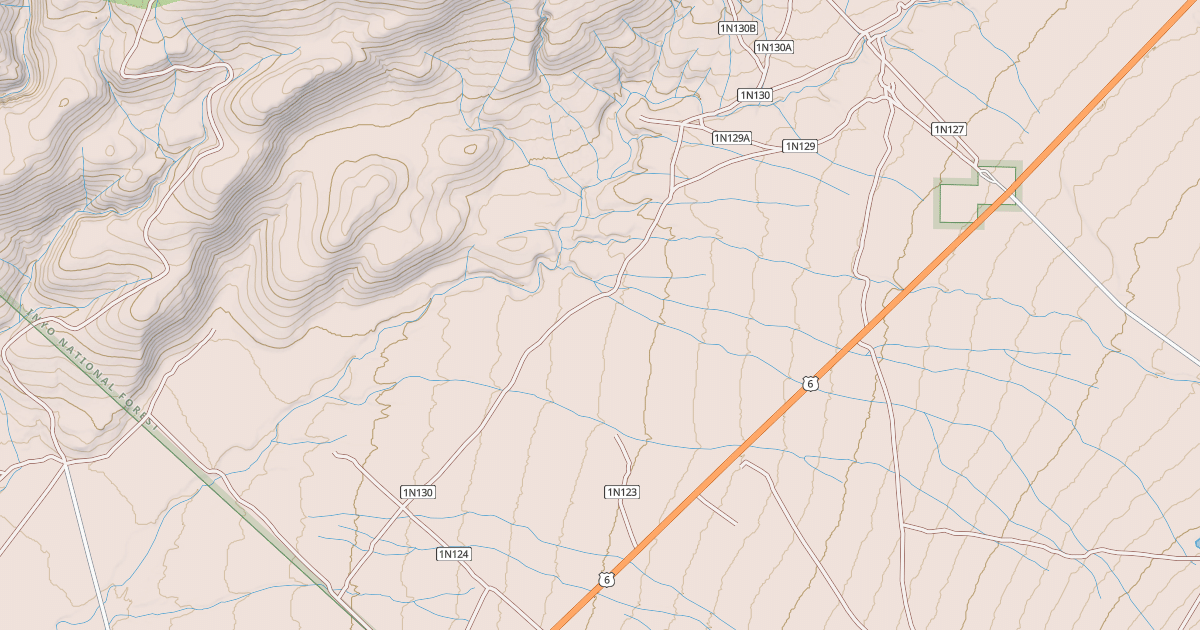 Map preview of USFS National Forest System Roads {4D8D9385-1F35-44F5-B0F9-A96B2A1A9AA1}