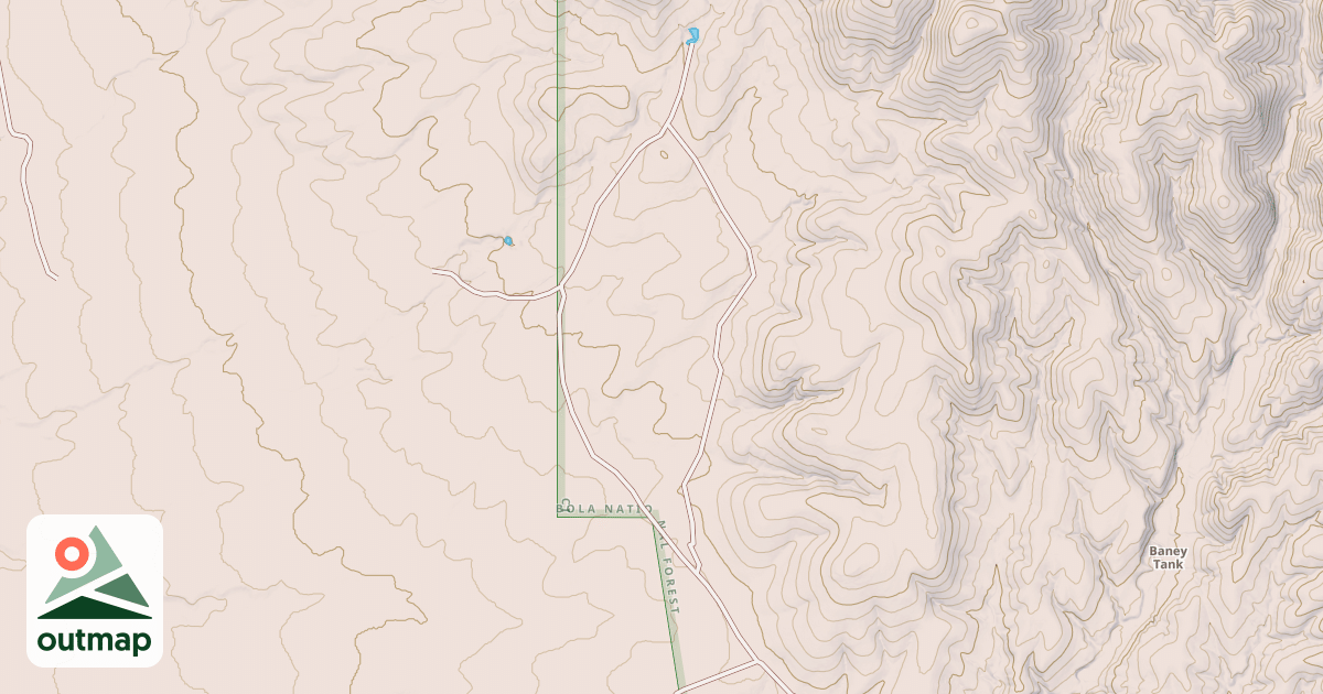 Map of USFS National Forest System Roads {4BAC88B3-1DB0-4308-B23B-053B04548A0D}
