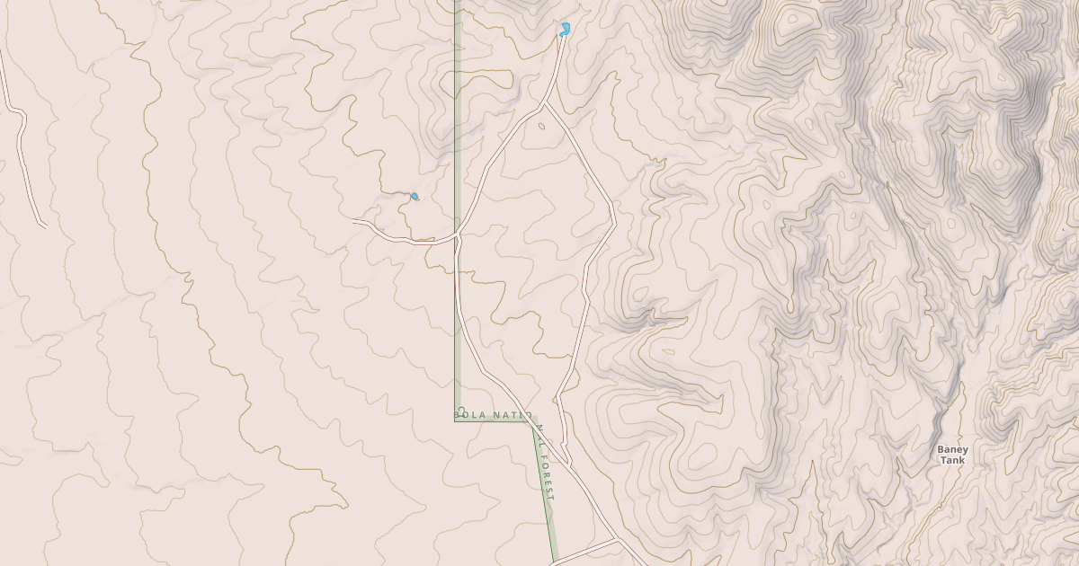 Map preview of USFS National Forest System Roads {4BAC88B3-1DB0-4308-B23B-053B04548A0D}